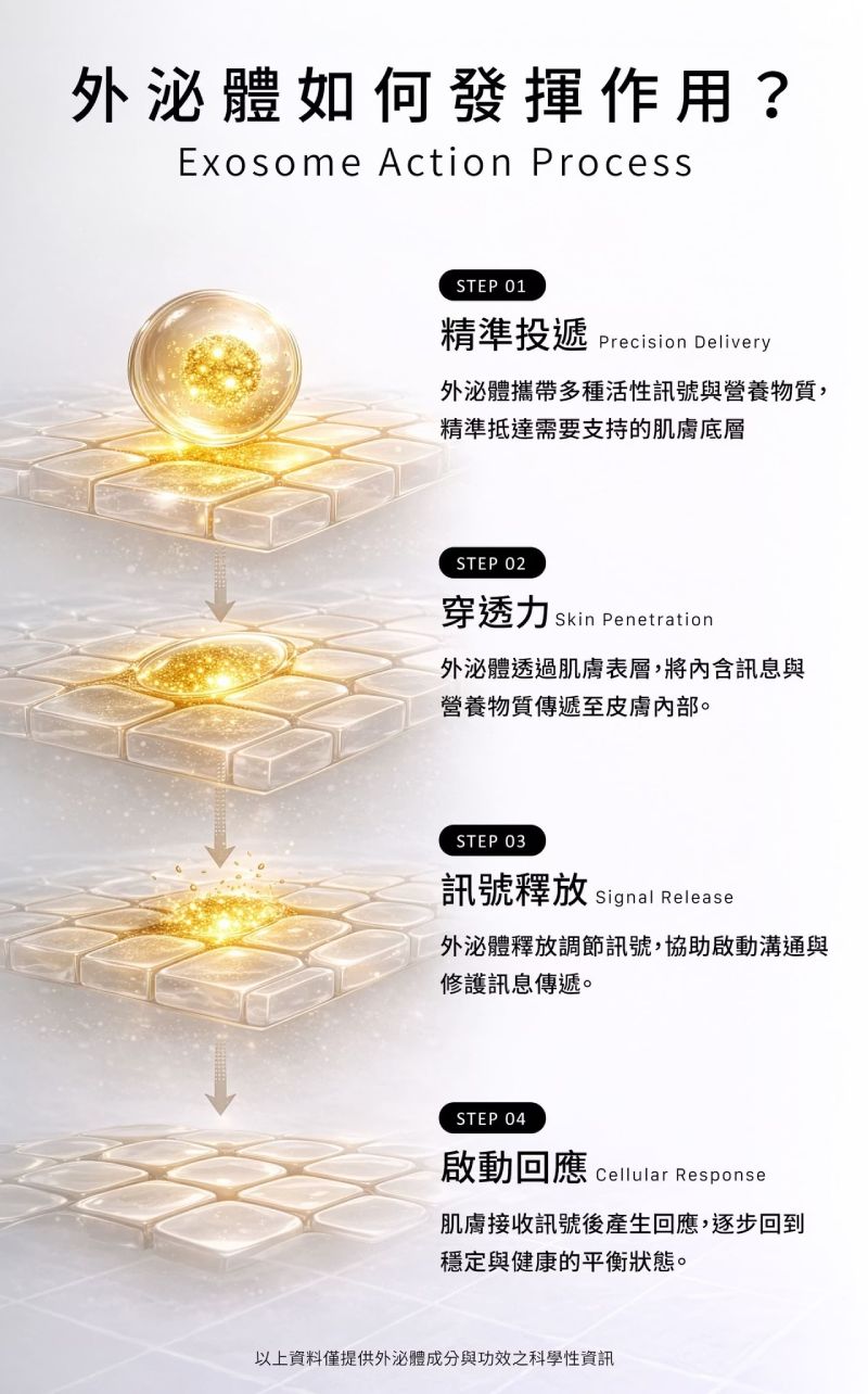 諾亞外泌體精萃化妝水作用機轉,精準投遞、深層滲透,啟動肌膚修護回應