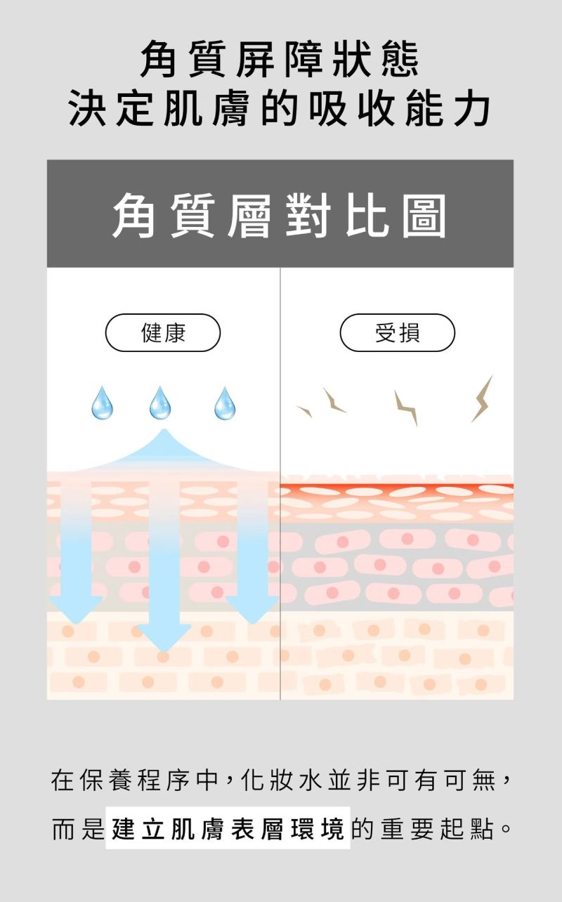 角質屏障狀態決定吸收能力,諾亞外泌體精萃化妝水是建立肌膚環境的重要起點