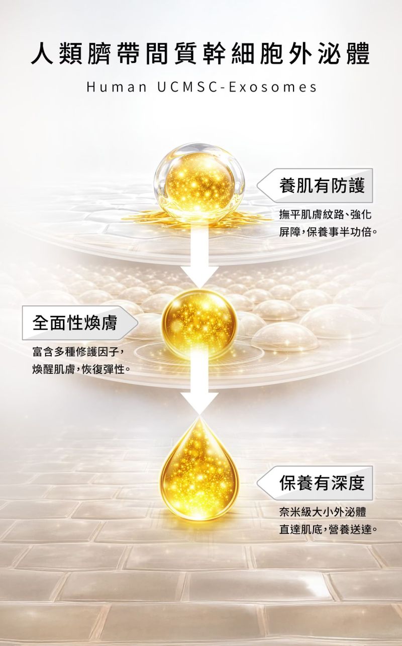 人類臍帶間質幹細胞外泌體,深層保養、全面性煥膚並強化肌膚屏障